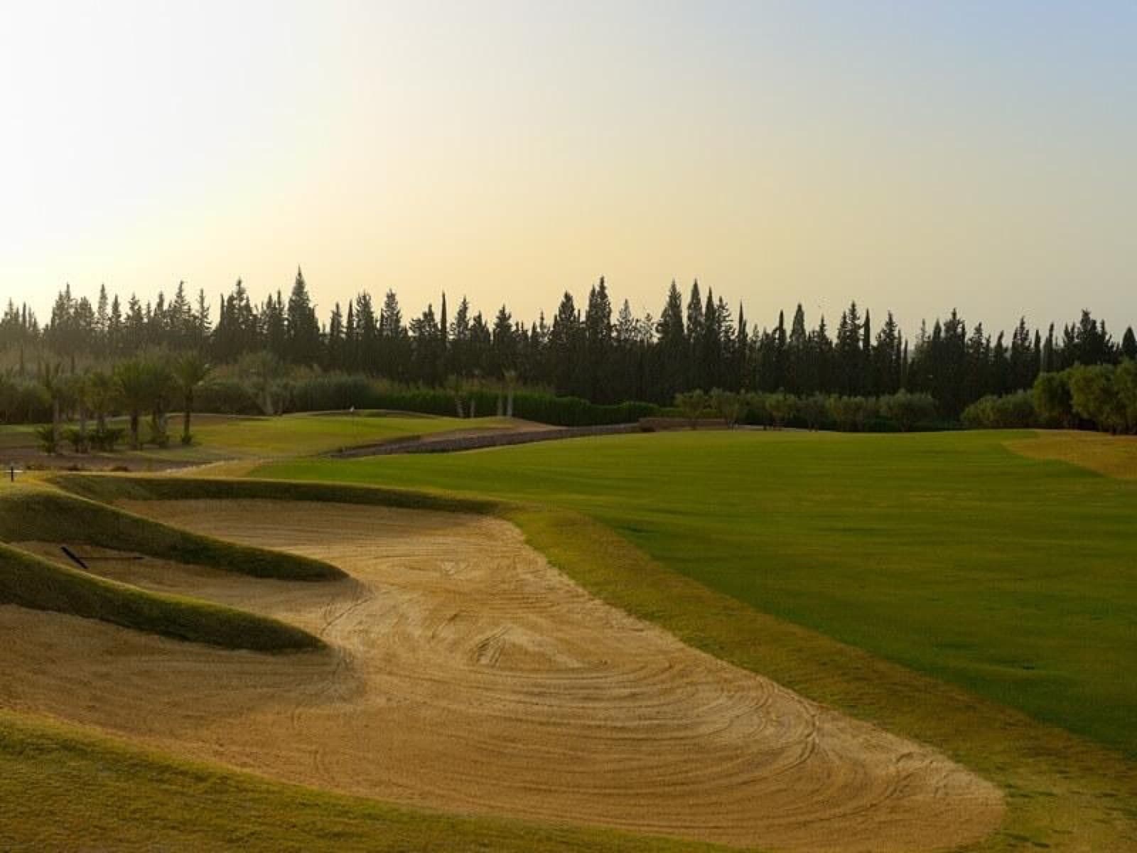 Assoufid Golf