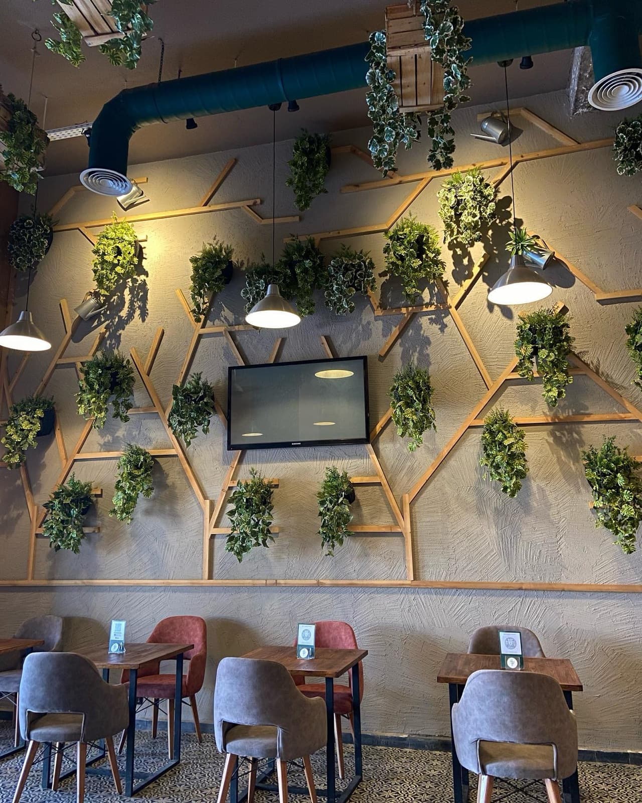 Cactus café